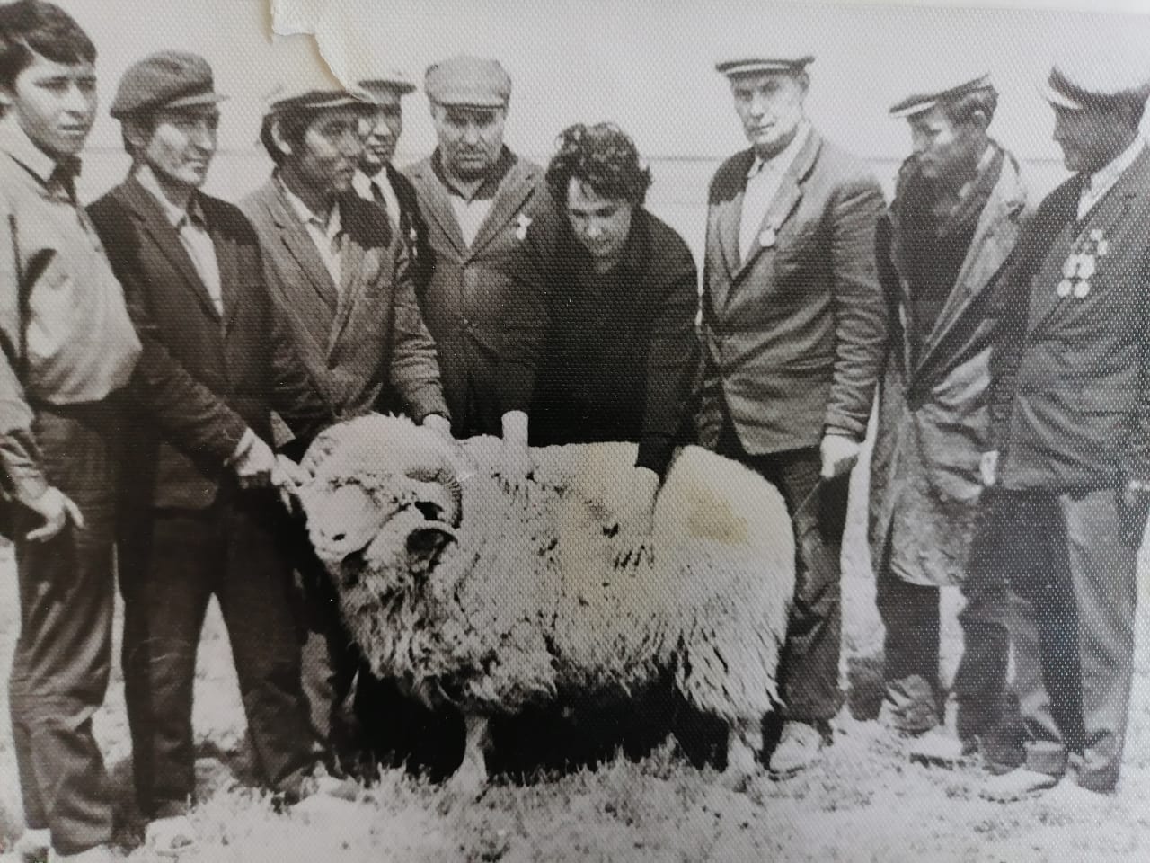 Передовые чабаны совхоза Алгайский 1970 год.